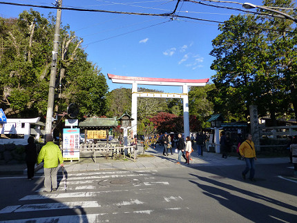 鎌倉宮の鳥居.jpg